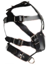 Head Harness & Muzzle Light - - Bondage Gags and Bits